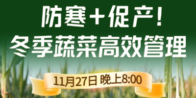 《细说农技》专家张宝林教冬季蔬菜防寒 + 促产高效管理，27 日晚 8 点！