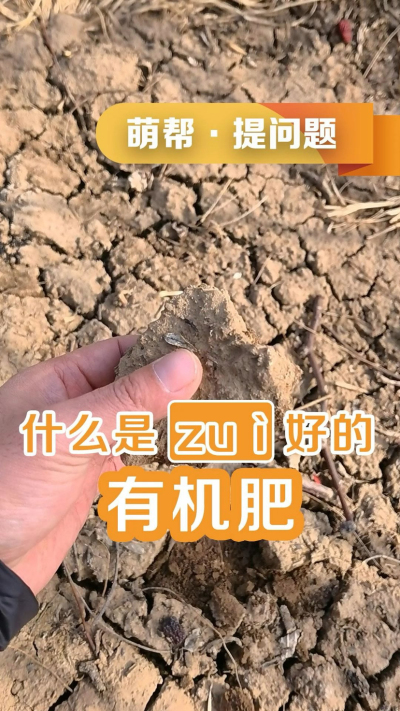 什么是最好的有机肥