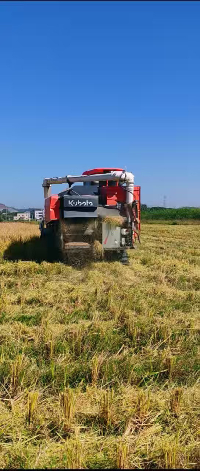 惠州基地，无人拖拉机收水稻了。