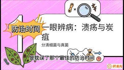 第三节：细菌与真菌&mdash;&mdash;溃疡病与炭疽病，课程：《柑橘十大病虫害：从入门到精通》