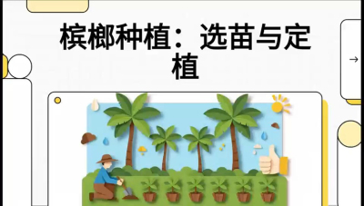第01节：选苗与定植&mdash;&mdash;&ldquo;苗好一半收，底肥定千秋&rdquo;课程：《槟榔种植：从不懂到精通的10堂必修课》