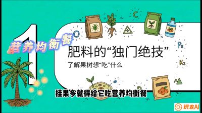 第07节：科学施肥&mdash;&mdash;&ldquo;氮磷钾配好，树壮果不倒
