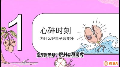 第08节：微量元素与保果&mdash;&mdash;&ldquo;补硼又补钙，果子不裂坏&rdquo;《槟榔种植：从不懂到精通的10堂必修课》