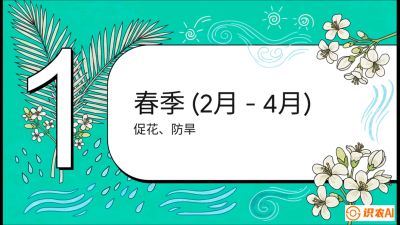 第10节：周年农事日历&mdash;&mdash;&ldquo;跟着节气走，丰产在手头&rdquo;《槟榔种植：从不懂到精通的10堂必修课》