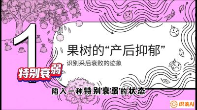 第2节：【冬肥策略】采后&ldquo;月子肥&rdquo;：大小年的精准干预术，课程：《柑橘底肥&ldquo;翻身账&rdquo;：从改土到高产的实战全书》