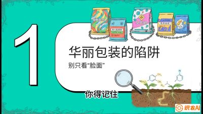 第4节：【黄金配方】底肥里的&ldquo;铁三角&rdquo;与&ldquo;微量雷区&rdquo;课程：《柑橘底肥&ldquo;翻身账&rdquo;：从改土到高产的实战全书》