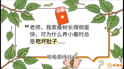 第01节：不仅仅是树&mdash;&mdash;顶级品种选配策略，课程：《桑海淘金：桑树高产与蚕桑安全进阶实战课》