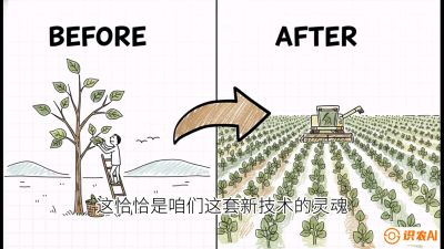 第02节：把树变成草&mdash;&mdash;&ldquo;草本化密植&rdquo;技术，课程：《桑海淘金：桑树高产与蚕桑安全进阶实战课》