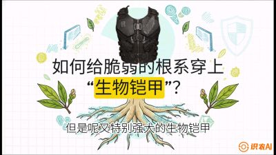 第三节：国产榴莲突围战：根系堡垒，菌根微生态构建与黄金定植窗口，课程：《国产榴莲突围战：从泰国经验到中国实操的8堂必修课（高阶实战版）》