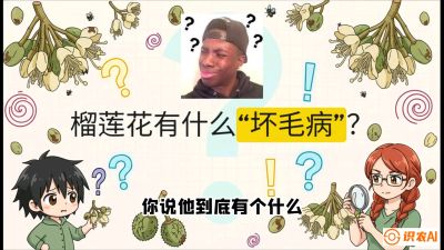 第六节：榴莲的午夜战事，夜间授粉战与花果期避雨策略，课程：《国产榴莲突围战：从泰国经验到中国实操的8堂必修课（高阶实战版）》