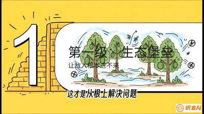 第七节：榴莲防御战：病虫害三级立体防控，疫霉菌与虫害的立体封锁线，课程：《国产榴莲突围战：从泰国经验到中国实操的8堂必修课（高阶实战版）》