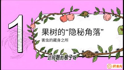 第3节：无人机专治&ldquo;打不透&rdquo;&mdash;&mdash;果树与高杆作物的穿透技巧，课程：《无人机植保搞钱必修课：从&ldquo;瞎飞&rdquo;到&ldquo;懂行&rdquo;的6步进阶》