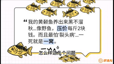 第四节：【黄金单品&middot;黄颡鱼】解决&ldquo;一点红&rdquo;与&ldquo;香蕉色&rdquo;的悖论，课程：《黄金鳞甲：2025中国淡水鱼高效养殖实战营》