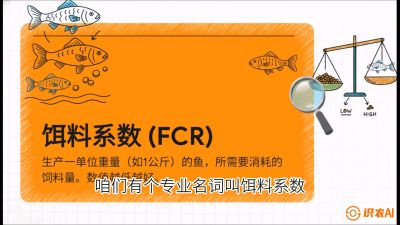 第五节：【高端单品&middot;鳜鱼】&ldquo;饲料鳜&rdquo;技术：打破吃活饵的高成本魔咒，课程：《黄金鳞甲：2025中国淡水鱼高效养殖实战营》