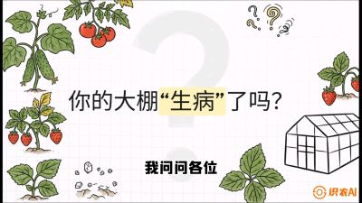 第2节（解毒篇）： 大棚里的&ldquo;红白绿&rdquo;警报&mdash;&mdash;读懂土壤盐渍化的求救信号，课程：《揭秘土壤的秘密：让土地帮你赚钱》#识农AI