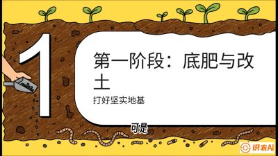 第6节（统筹篇）： 省钱又增产的&ldquo;黄金配比&rdquo;&mdash;&mdash;不同作物全年的养土实操方案，课程：《揭秘土壤的秘密：让土地帮你赚钱》#识农AI
