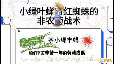 第03节（虫害篇）：看不见的吸血鬼：小绿叶蝉与红蜘蛛的&ldquo;非农药&rdquo;团灭战术（抗性治理），课程：《茶金时代：从&ldquo;看天吃饭&rdquo;到&ldquo;精准控局&rdquo;的茶叶高产提质实战课》