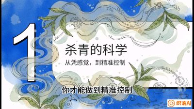 第05节（加工篇）：决胜2分钟：用&ldquo;数字温控&rdquo;破解杀青不匀，复刻大师级手工口感，课程：《茶金时代：从&ldquo;看天吃饭&rdquo;到&ldquo;精准控局&rdquo;的茶叶高产提质实战课》
