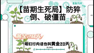 第2节：【苗期生死局】防猝倒、破僵苗，决定后期产量的&ldquo;黄金20天&rdquo;，课程：《辣椒种植实战特训营，从工业辣椒到精品小米辣，教你如何把&ldquo;草&rdquo;种成&ldquo;金&rdquo;》