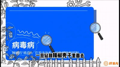 第5节：【病毒病阻击】辣椒的&ldquo;癌症&rdquo;怎么治？从&ldquo;绝收恐慌&rdquo;到&ldquo;带毒生产&rdquo;的逆转术，课程：《辣椒种植实战特训营，从工业辣椒到精品小米辣，教你如何把&ldquo;草&rdquo;种成&ldquo;金&rdquo;》