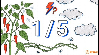 第6节：【花果爆发术】落花落果的五大元凶，与&ldquo;三喷一保&rdquo;坐果黑科技，课程：《辣椒种植实战特训营，从工业辣椒到精品小米辣，教你如何把&ldquo;草&rdquo;种成&ldquo;金&rdquo;》