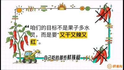 第7节：【工业辣椒专场】追求极致辣度！干物质提升与机械化采收的&ldquo;催红秘籍&rdquo;，课程：《辣椒种植实战特训营，从工业辣椒到精品小米辣，教你如何把&ldquo;草&rdquo;种成&ldquo;金&rdquo;》