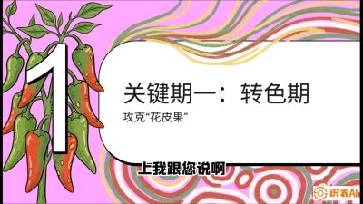 第8节：【小米辣线椒专场】颜值即正义！防花皮、防炭疽，打造收购商抢着要的&ldquo;精品果&rdquo;，课程：《辣椒种植实战特训营，从工业辣椒到精品小米辣，教你如何把&ldquo;草&rdquo;种成&ldquo;金&rdquo;》