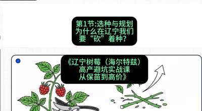 第一节： 选种与规划&mdash;&mdash;为什么在辽宁我们要&ldquo;砍&rdquo;着种？，课程：《辽宁树莓（海尔特兹）高产避坑实战课：从保苗到高价》