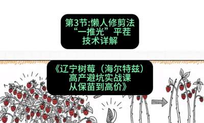 第三节： 懒人修剪法&mdash;&mdash;&ldquo;一推光&rdquo;平茬技术详解，课程：《辽宁树莓（海尔特兹）高产避坑实战课：从保苗到高价》