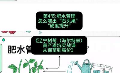 第四节： 肥水管理&mdash;&mdash;怎么喂出&ldquo;石头果&rdquo;（硬度提升），课程：《辽宁树莓（海尔特兹）高产避坑实战课：从保苗到高价》