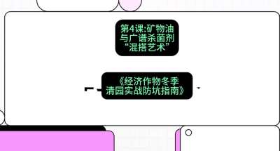 第4节：【替代方案】矿物油与广谱杀菌剂的&ldquo;混搭艺术&rdquo;，课程：《经济作物冬季清园&middot;实战防坑指南》#识农AI