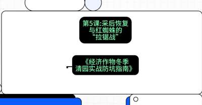 第5节：【柑橘清园】采后恢复与红蜘蛛的&ldquo;拉锯战&rdquo;，课程：《经济作物冬季清园&middot;实战防坑指南》#识农AI