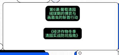 第6节：【葡萄清园】绒球期的博弈与画眉虫的&ldquo;斩首行动&rdquo;，课程：《经济作物冬季清园&middot;实战防坑指南》#识农AI