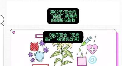 第02节：百合的&ldquo;癌症&rdquo;&mdash;&mdash;病毒病的阻断与急救，课程：《卷丹百合&ldquo;无病高产&rdquo;植保实战课》#识农AI