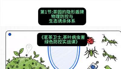 第01节：茶园的&ldquo;隐形盾牌&rdquo;&mdash;&mdash;物理防控与生态诱杀体系，课程：《茗茶卫士&mdash;&mdash;茶叶病虫害绿色防控实战课》#识农AI
