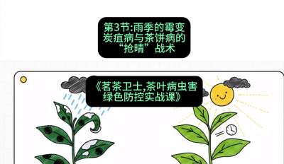 第03节：雨季的霉变&mdash;&mdash;炭疽病与茶饼病的&ldquo;抢晴&rdquo;战术，课程：《茗茶卫士&mdash;&mdash;茶叶病虫害绿色防控实战课》#识农AI