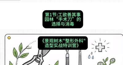 第01节：工欲善其事&mdash;&mdash;园林&ldquo;手术刀&rdquo;的选择与消毒，课程：《景观树木&ldquo;整形外科&rdquo;造型实战特训营》#识农AI
