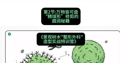第02节：万物皆可盘&mdash;&mdash;&ldquo;精球形&rdquo;修剪的圆润秘籍，课程：《景观树木&ldquo;整形外科&rdquo;造型实战特训营》#识农AI