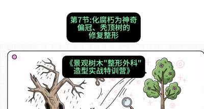 第07节：化腐朽为神奇&mdash;&mdash;偏冠、秃顶树的修复整形，课程：《景观树木&ldquo;整形外科&rdquo;造型实战特训营》#识农AI