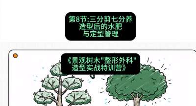 第08节：三分剪七分养&mdash;&mdash;造型后的水肥与定型管理，课程：《景观树木&ldquo;整形外科&rdquo;造型实战特训营》#识农AI
